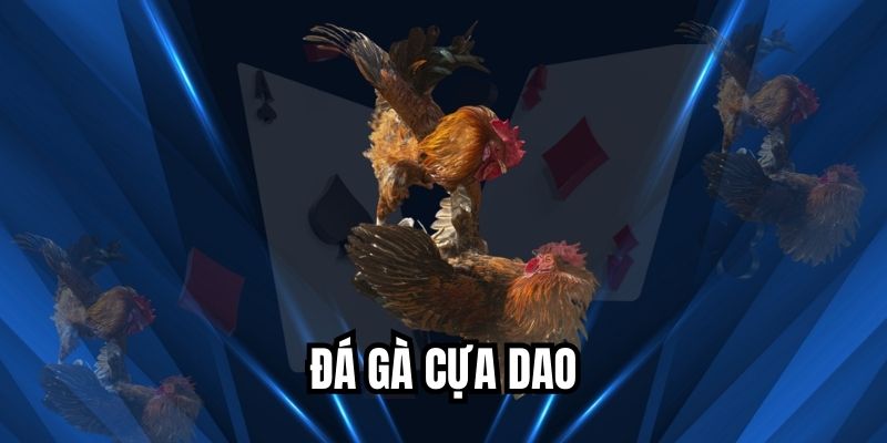 Đá Gà Cựa Dao TK88 - Trải Nghiệm Đỉnh Cao Cho Người Chơi Đá gà cựa dao