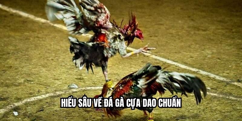 Đá Gà Cựa Dao TK88 - Trải Nghiệm Đỉnh Cao Cho Người Chơi Hiểu sâu về đá gà cựa dao chuẩn